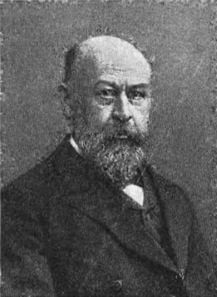 Виктор Александрович Гольцев (1850-1906)