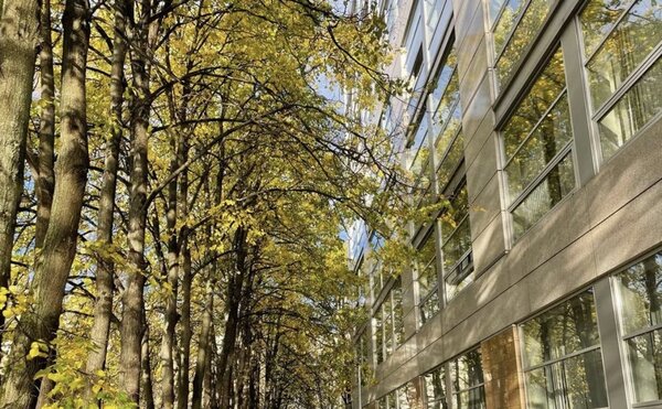 Экспертное заключение Экономического факультета МГУ на Основные направления единой государственной денежно-кредитной политики на 2024 год и период 2025 и 2026 годов