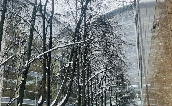 Победители конкурса стипендий МГУ