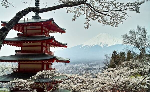 EAST &amp;amp; SOUTH EAST ASIAN HOTSPOTS FOR INVESTMENT: INVESTMENT TERMS AND REGULATION?