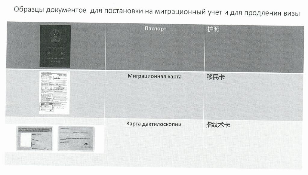 образцы