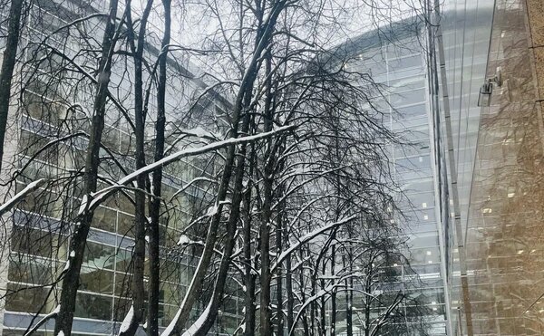 Студенты, аспиранты и научные сотрудники ЭФ - победители конкурса стипендий МГУ