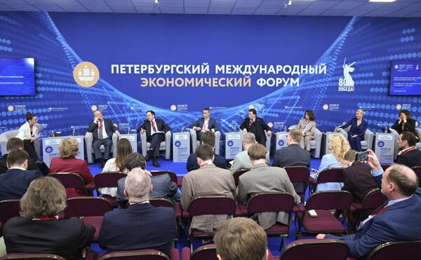 Выступления экспертов ЭФ МГУ на ПМЭФ'25 в СМИ