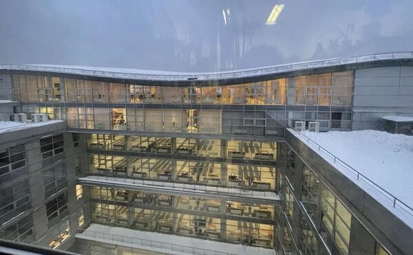 Сотрудники ЭФ - победители Конкурса работ, способствующих решению задач Программы развития Московского университета в 2025 году, в номинации "Выдающиеся научные статьи"