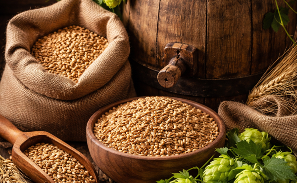 Динамика теневого рынка пивоваренной продукции. 2025 vs. 2024. Часть II