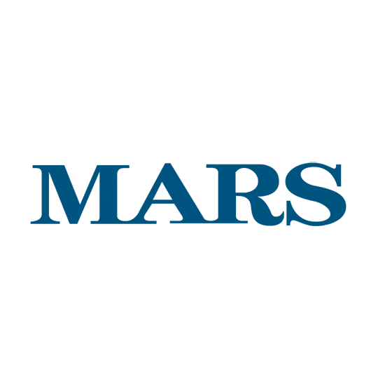 MARS Academy -  «Winning with IT on FMCG market»