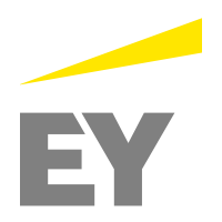 Мастер-класс от представителей компании EY