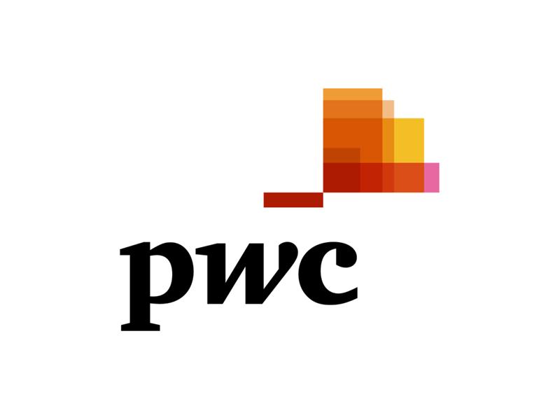 Мастер-класс от представителей компании PwC