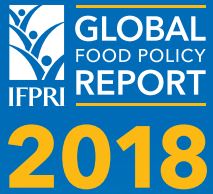 Международная конференция с презентацией «Отчета о глобальной продовольственной политике-2018»