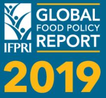 Четвертая международная конференция по развитию сельского хозяйства, обеспечению продовольственной безопасности и полноценного питания в Евразии и презентация доклада IFPRI (Вашингтон, США) «О глобальной продовольственной политике – 2019»
