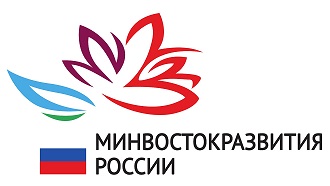 Практика студентов Экономического факультета МГУ на базе Минвостокразвития России