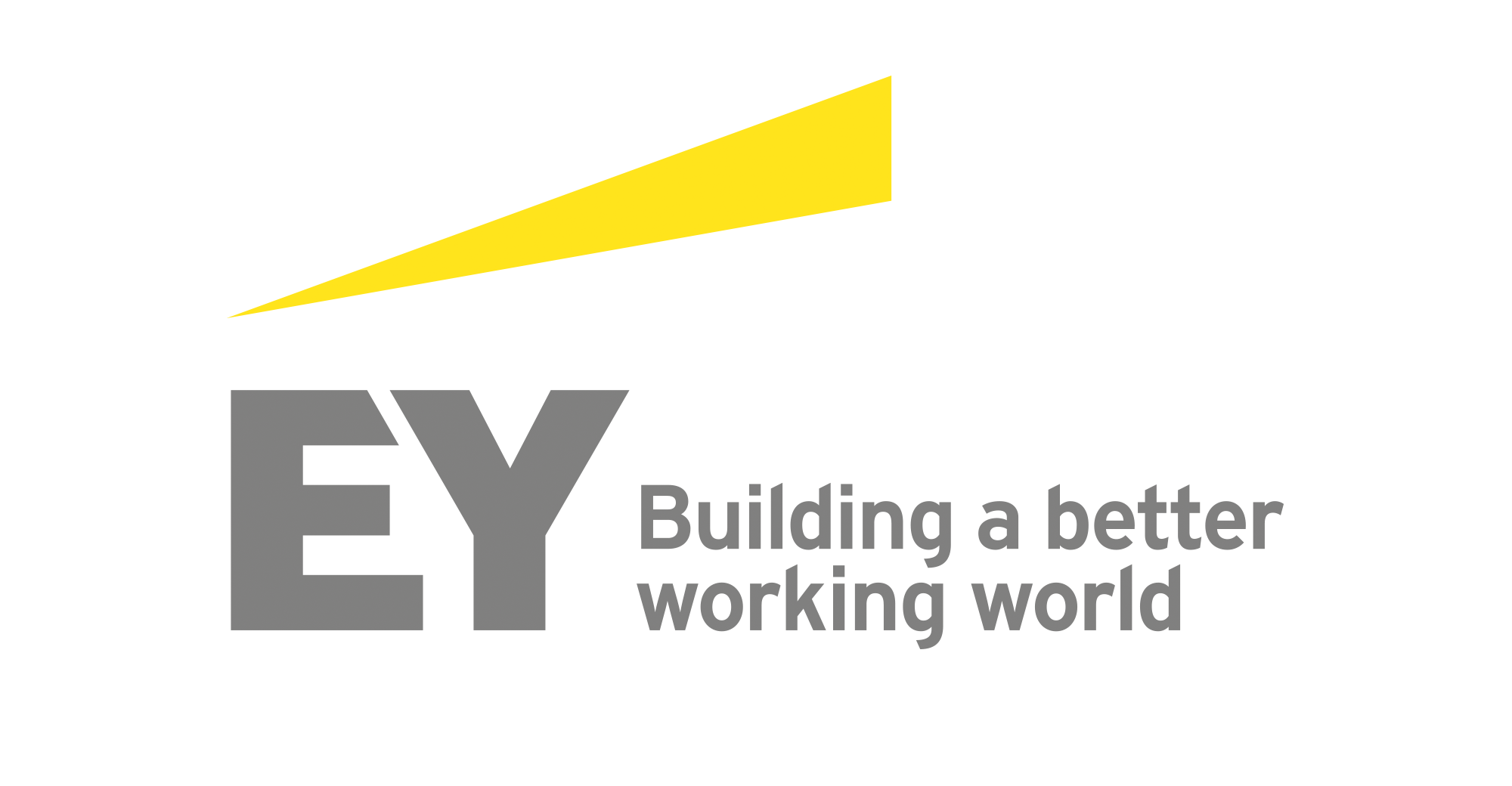 Мастер-класс от представителей компании EY