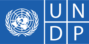 UNDP announced 10 intern positions in remote mode for Russian citizens