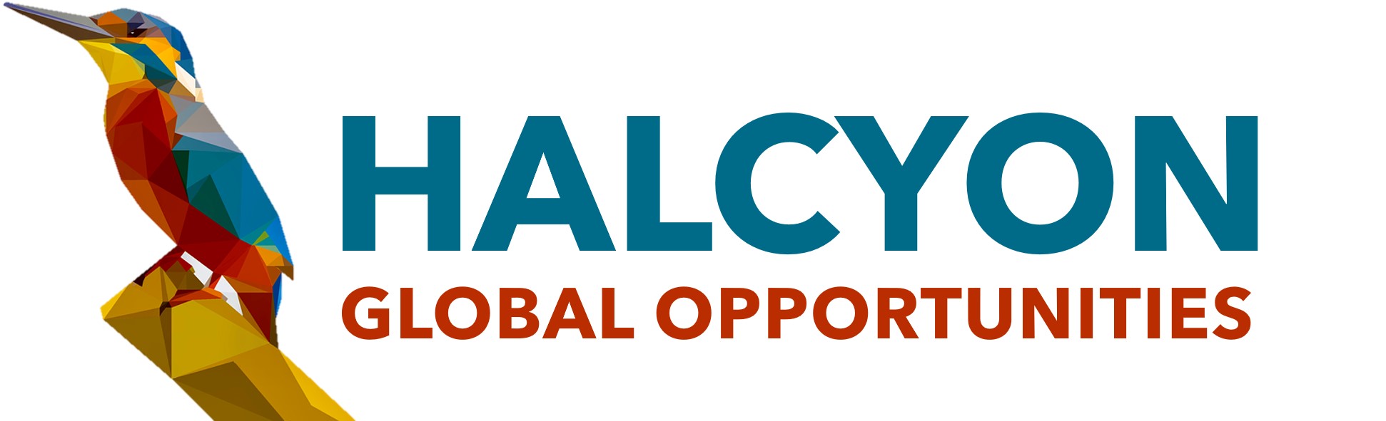 Part-time Intern in Asset Management team at Halcyon Global Opportunities (formerly SPRING) - March 2021, 3 months