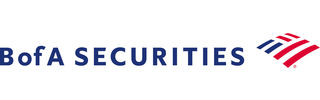 Analyst in Global Investment Banking at Merrill Lynch Securities