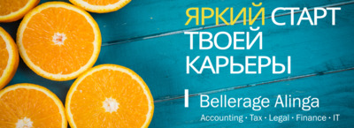 Assistant in Financial Outsourcing &amp;amp; Consulting | Bellerage