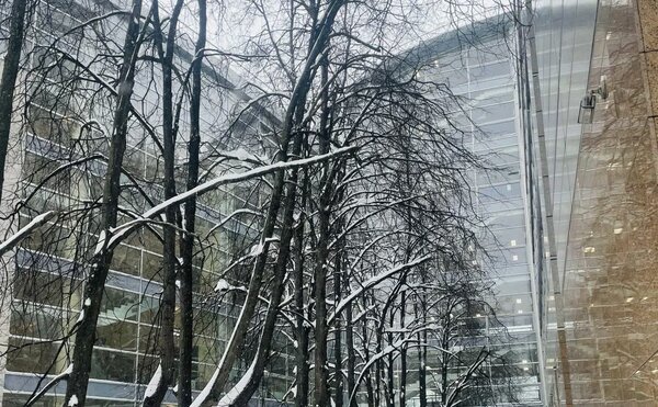 Аспиранты ЭФ—победители конкурса на именные стипендии Московского университета